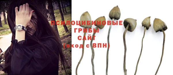 метадон Елабуга