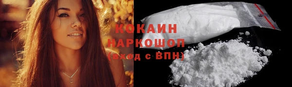 бошки Ельня