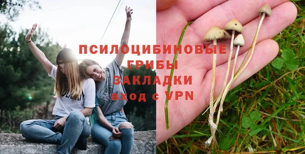 прущие крисы Елизово
