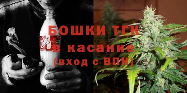 бошки Ельня