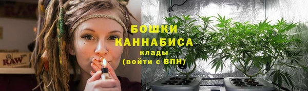 прущие крисы Елизово