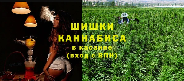 прущие крисы Елизово