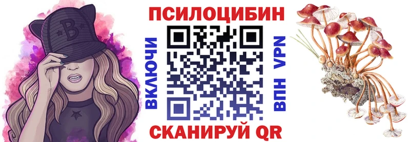 Купить закладки  Туринск  Псилоцибиновые грибы мухоморы 